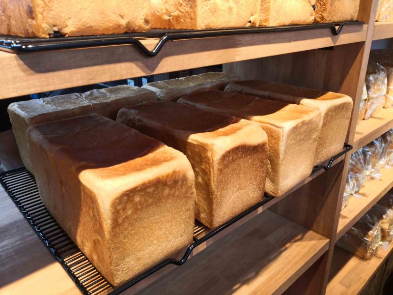 もう言葉がでません