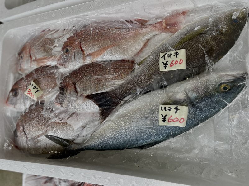 オープン]水木しげるロードに魚屋さんが誕生「板倉博商店 鮮魚